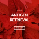 ANTIGEN RETRIEVAL SOLUTIONS