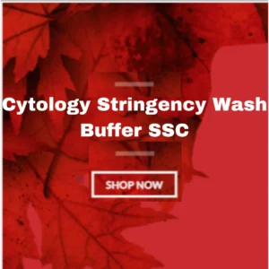 Cytology Stringency Wash Buffer SSC