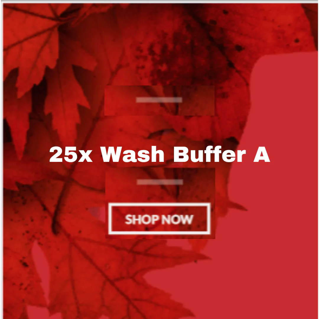 25x Wash Buffer A