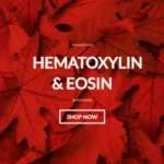 HEMATOXYLIN & EOSIN