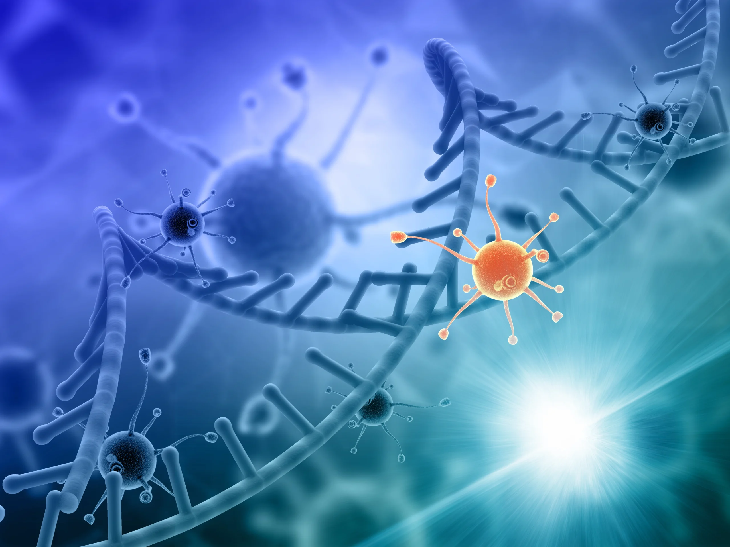 Primary Antibodies