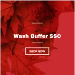 Wash Buffer SSC