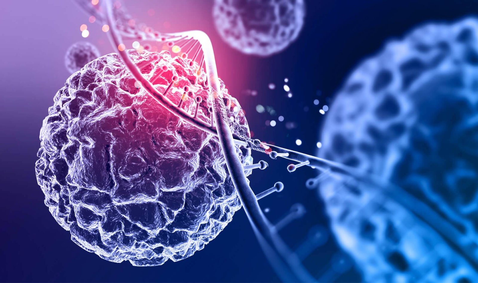 IHC ANTIBODIES-IMAGE-GENEBIOSOLUTION